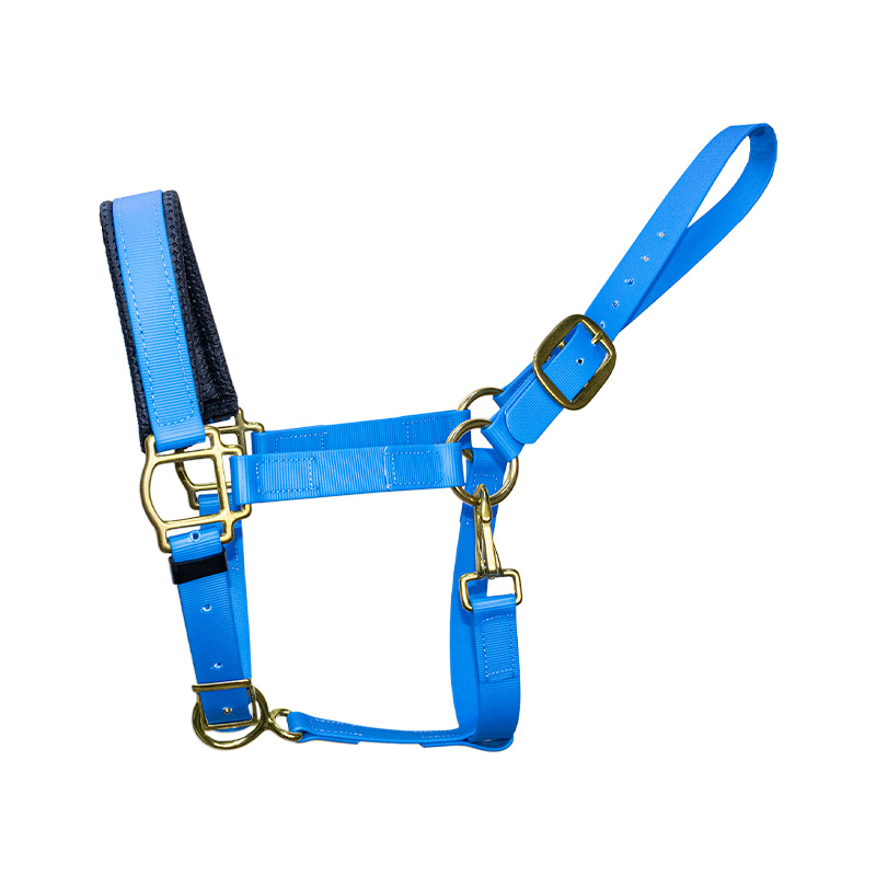 BIOSTRAP HALTER alternate view