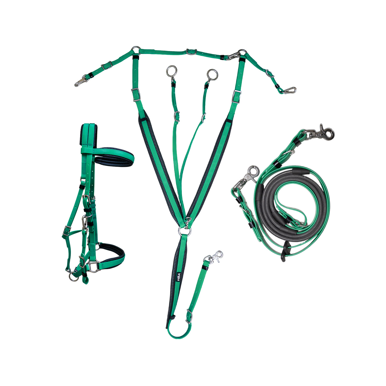 BIOSTRAP ENDURANCE BRIDLE SET