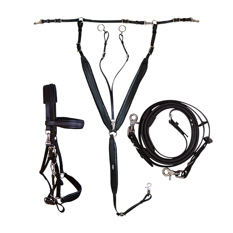 BIOSTRAP ENDURANCE BRIDLE SET alternate view