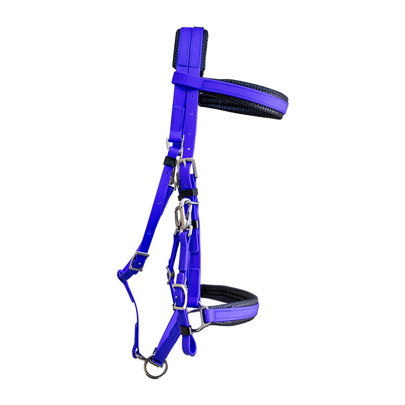 BIOSTRAP ENDURANCE BRIDLE alternate view