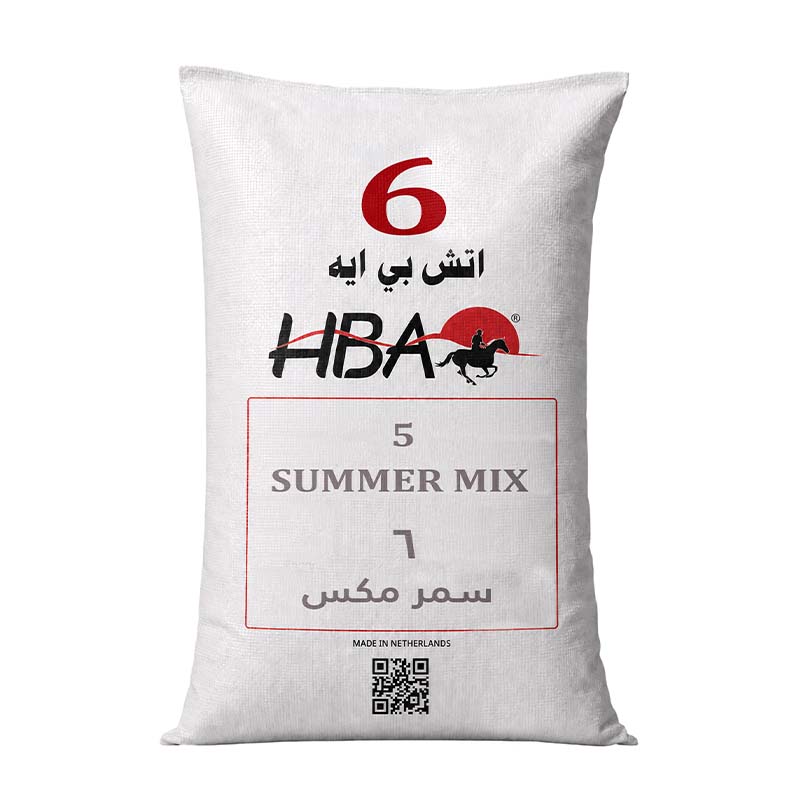 SUMMER MIX 6