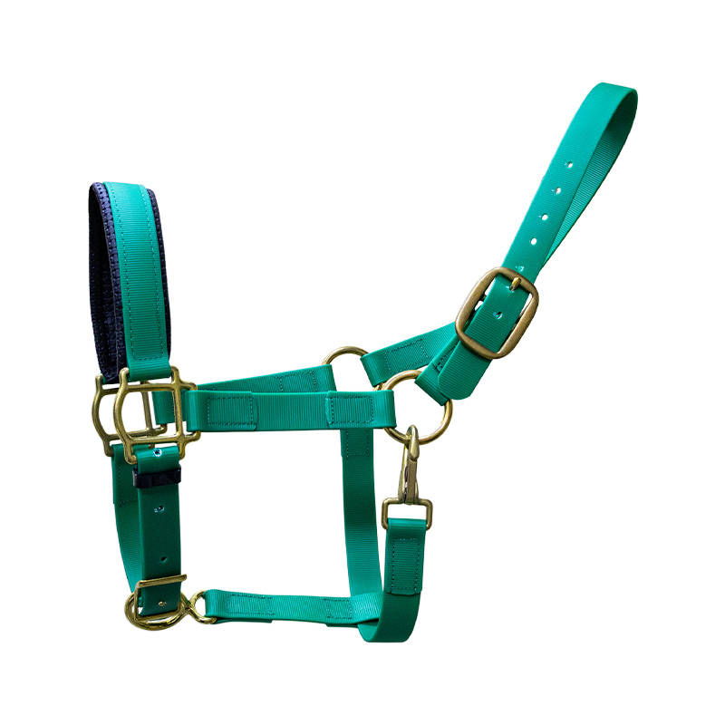 BIOSTRAP HALTER